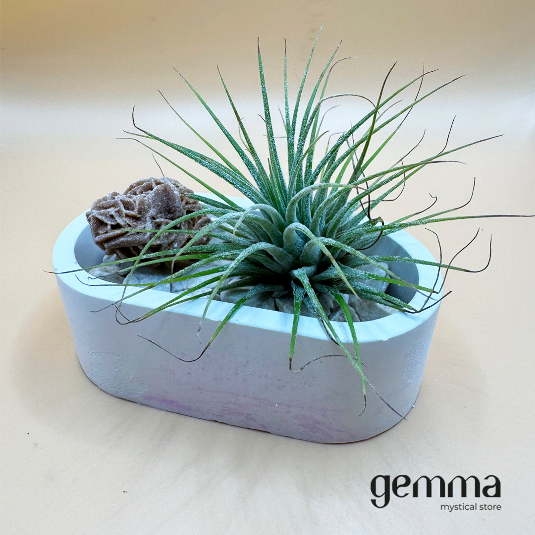 Vaso cerâmica com planta e pedra