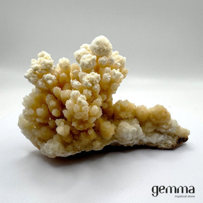 Aragonite Coraloide - Gemma - Loja de Cristais Aragonite Coraloide - Gemma - Loja de Cristais
