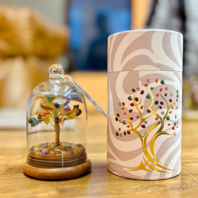 Jardim de Cúpula de Gemas – Sete Chakras | Decoração Única