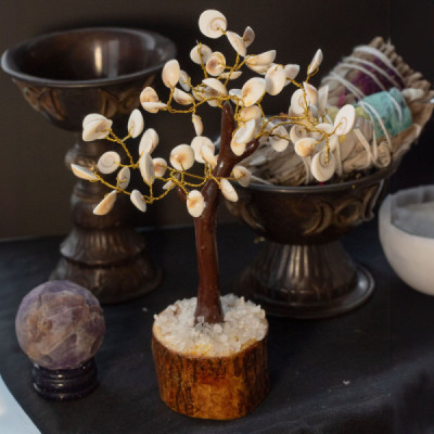 Árvores de Pedra Gomati Chakra Círculo Grande (60 pedras)