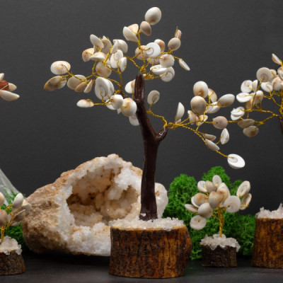 Árvores de Pedra Gomati Chakra Círculo Grande (60 pedras)