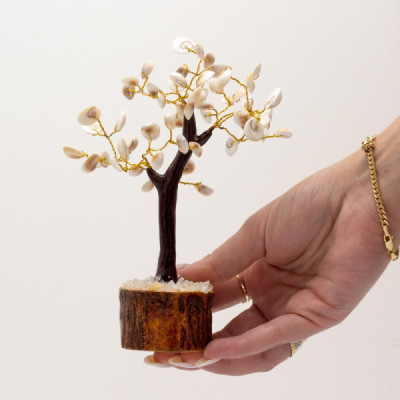 Árvores de Pedra Gomati Chakra Círculo Grande (60 pedras)