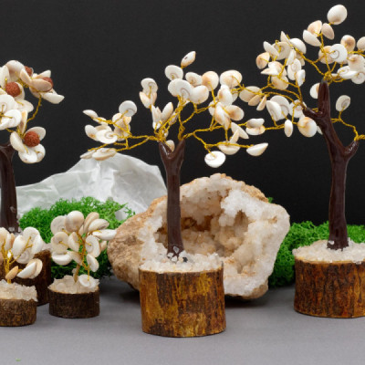 Árvore de Pedra Gomati Chakra Círculo Médio - 45 Pedras