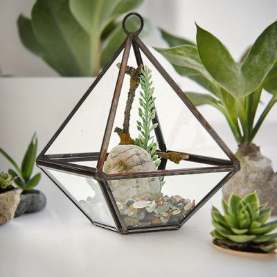 Terrário de Vidro Pequeno Diamante - Decoração Elegante