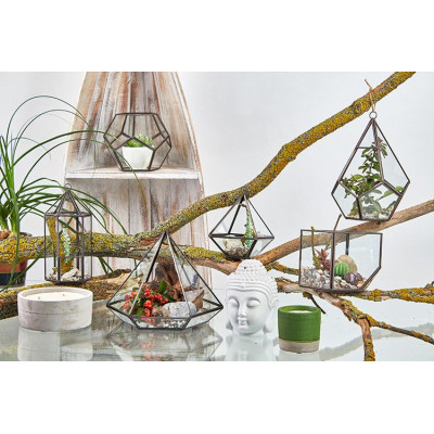 Terrário de Vidro Pequeno Diamante - Decoração Elegante