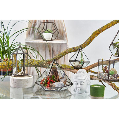 Terrário de Vidro Pequeno Diamante - Decoração Elegante