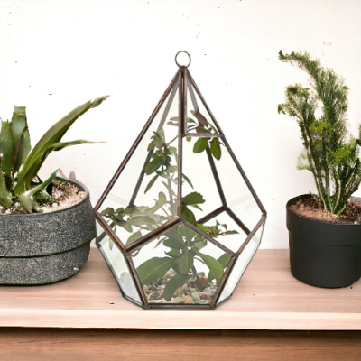 Terrário de Vidro Grande Pentágono – Decoração Moderna