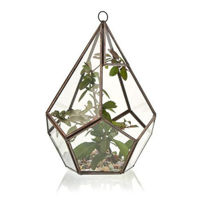 Terrário de Vidro Grande Pentágono – Decoração Moderna