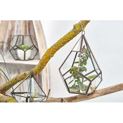 Terrário de Vidro Grande Pentágono – Decoração Moderna