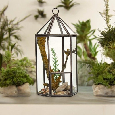 Terrário de Vidro Lanterna – Decoração Elegante