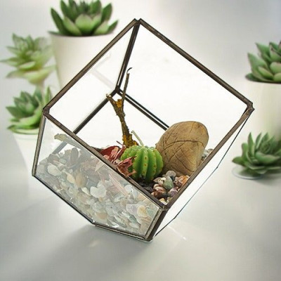 Terrário de Vidro Cubo na Esquina - Decoração Moderna